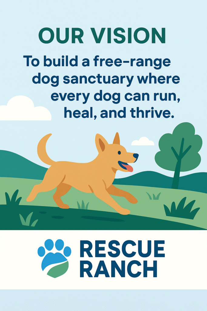 871cc81c 73a4 4177 9178 e60dd6cf8739